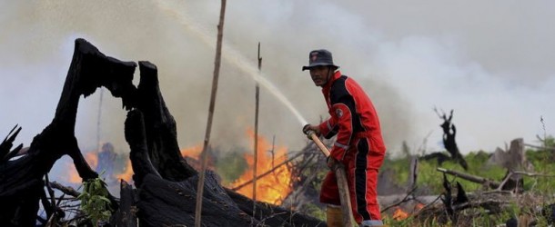 อินโดนีเซียประกาศมาตรการฉุกเฉินพร้อมรับไฟป่า