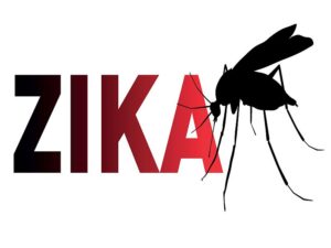 zika12